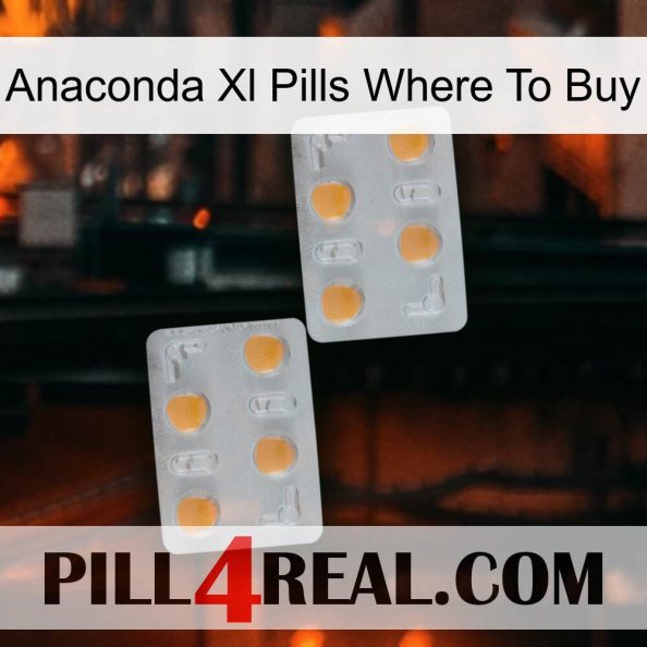 Anaconda Xl Pills Where To Buy 25.jpg